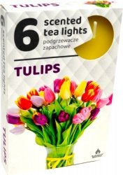 PODGRZEWACZ 6 SZTUK TEA LIGHT  TULIPAN