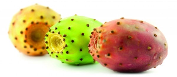 RICA Opuntia Oil Krem do rąk 50 ml